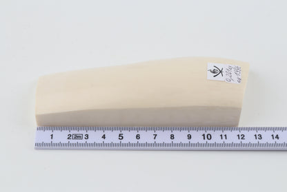 White mammoth ivory segment