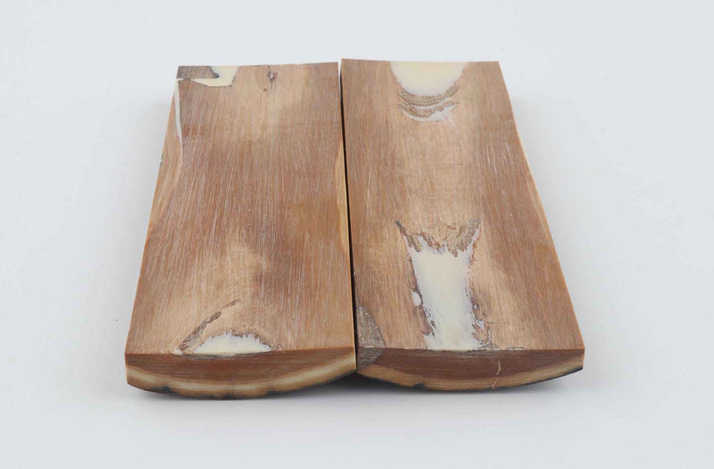 Stabilised mammoth bark scales