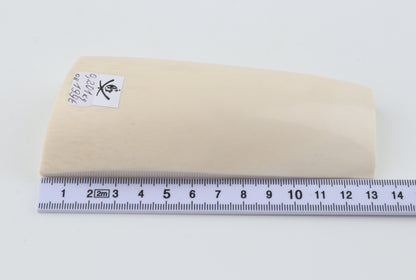 White mammoth ivory segment