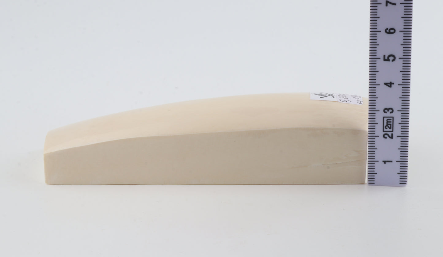 White mammoth ivory segment