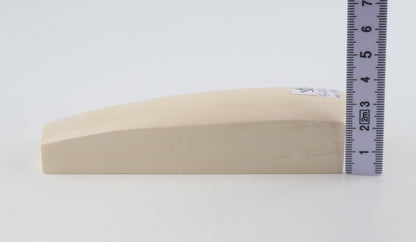 White mammoth ivory segment