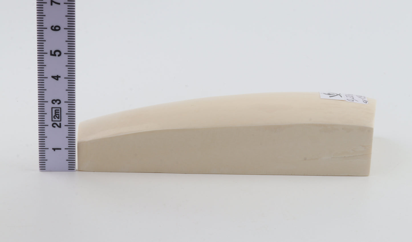 White mammoth ivory segment