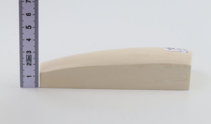 White mammoth ivory segment