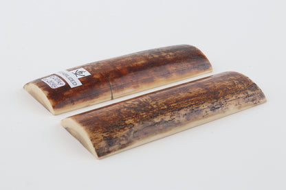 Stabilized mammoth bark scales