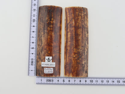 Stabilized mammoth bark scales