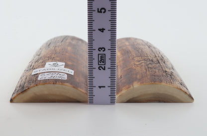 Stabilized mammoth bark scales