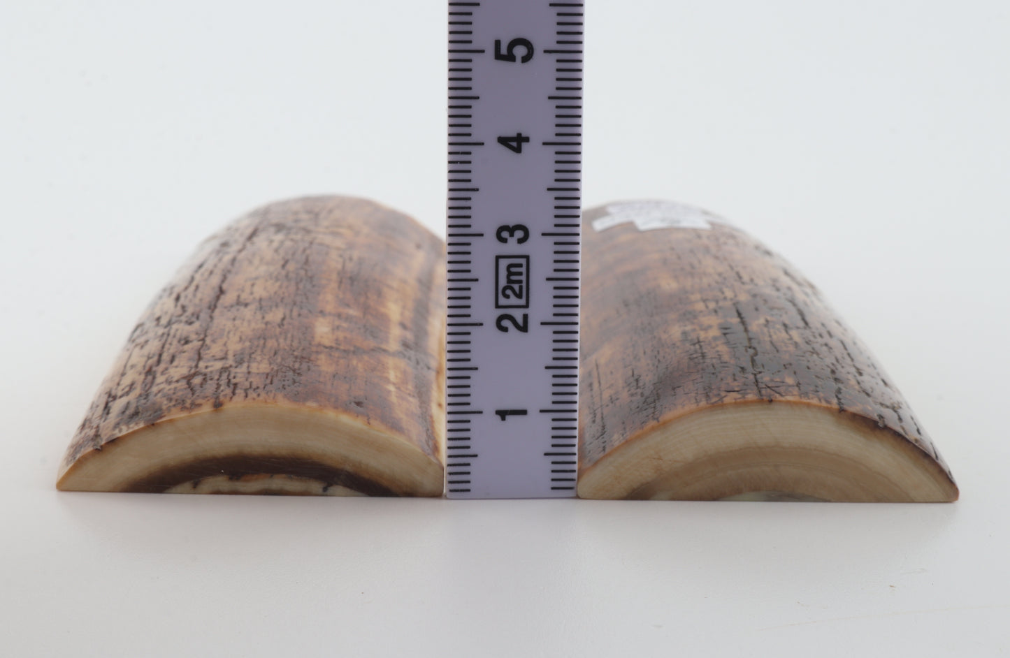 Stabilized mammoth bark scales