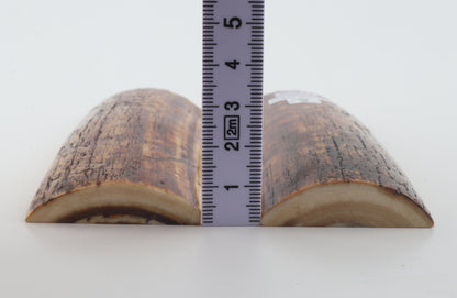 Stabilized mammoth bark scales