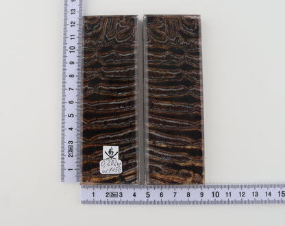 Stabilised mammoth molar scales