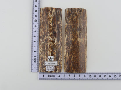 Stabilised mammoth bark scales