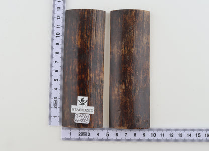 Stabilised mammoth bark scales