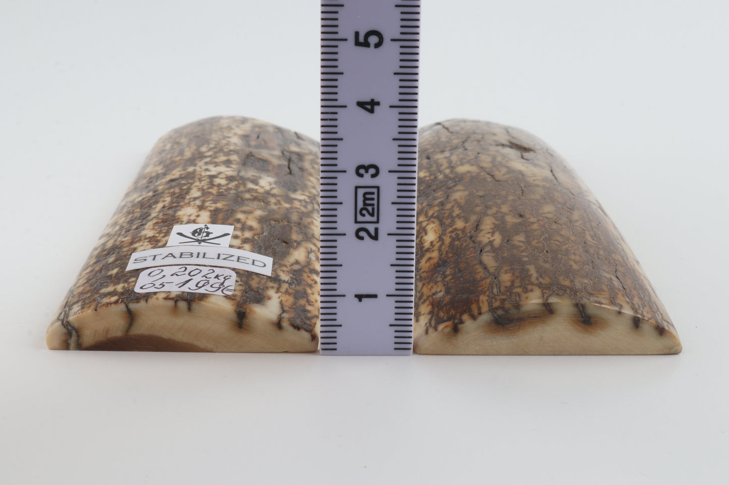 Stabilised mammoth bark scales