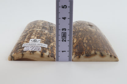 Stabilised mammoth bark scales