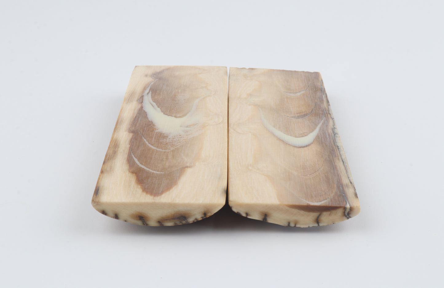 Stabilised mammoth bark scales