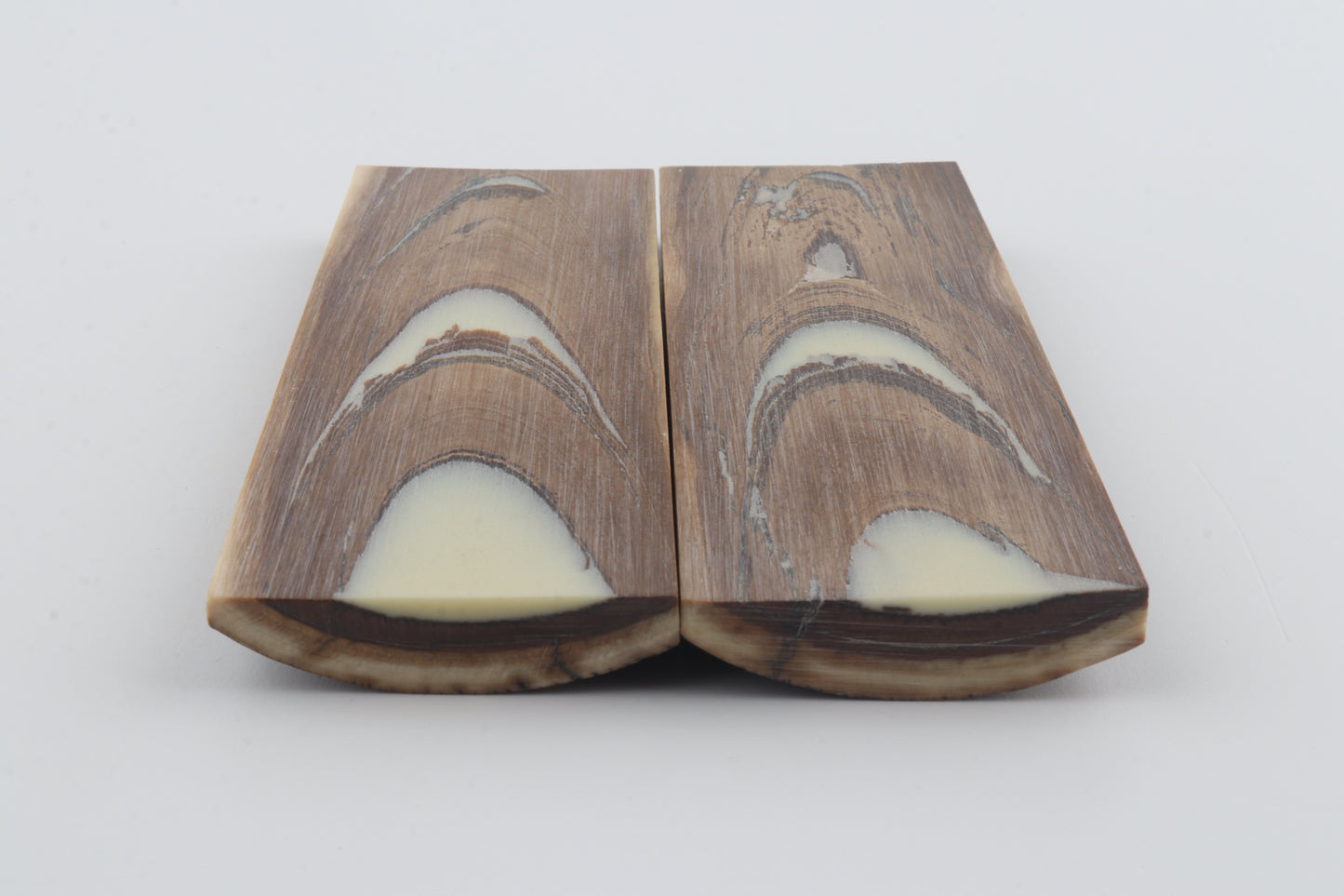Stabilised mammoth bark scales