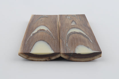 Stabilised mammoth bark scales