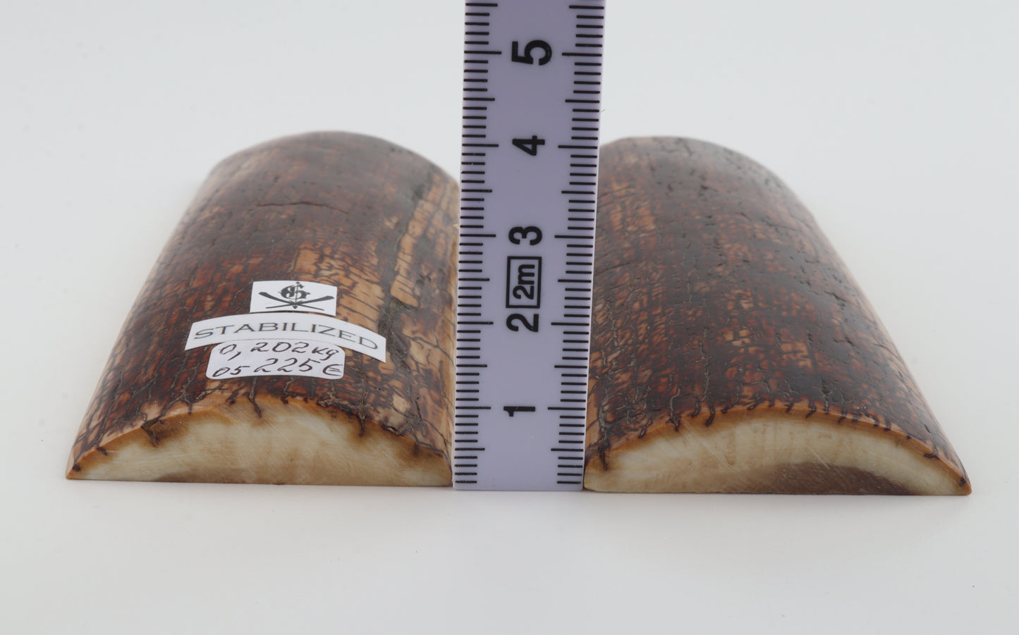 Stabilized mammoth bark scales