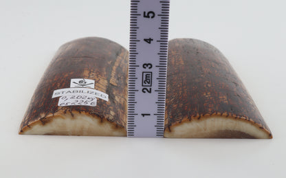 Stabilized mammoth bark scales