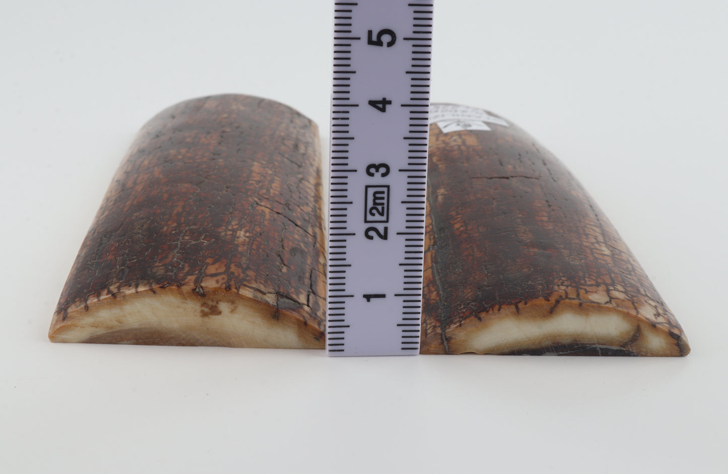 Stabilized mammoth bark scales