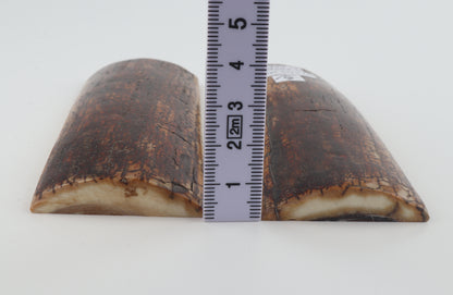 Stabilized mammoth bark scales
