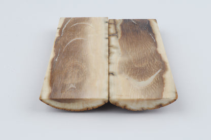 Stabilized mammoth bark scales