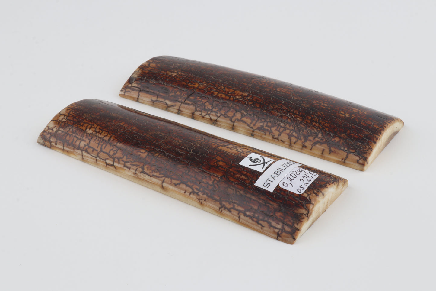 Stabilized mammoth bark scales