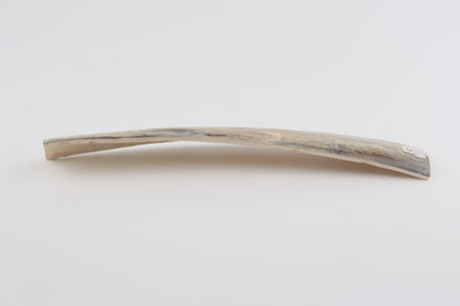 Grey mammoth bark