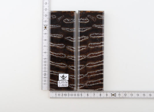 Stabilised mammoth molar scales