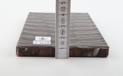 Stabilised mammoth molar scales