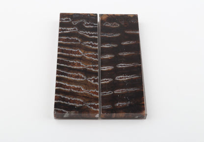 Stabilised mammoth molar scales