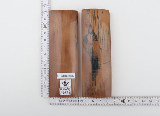 Stabilized mammoth bark scales
