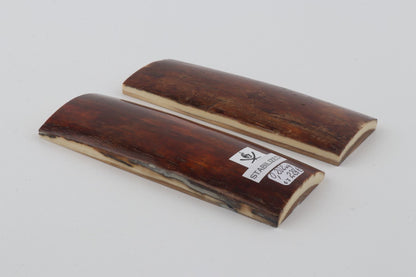 Stabilised mammoth bark scales