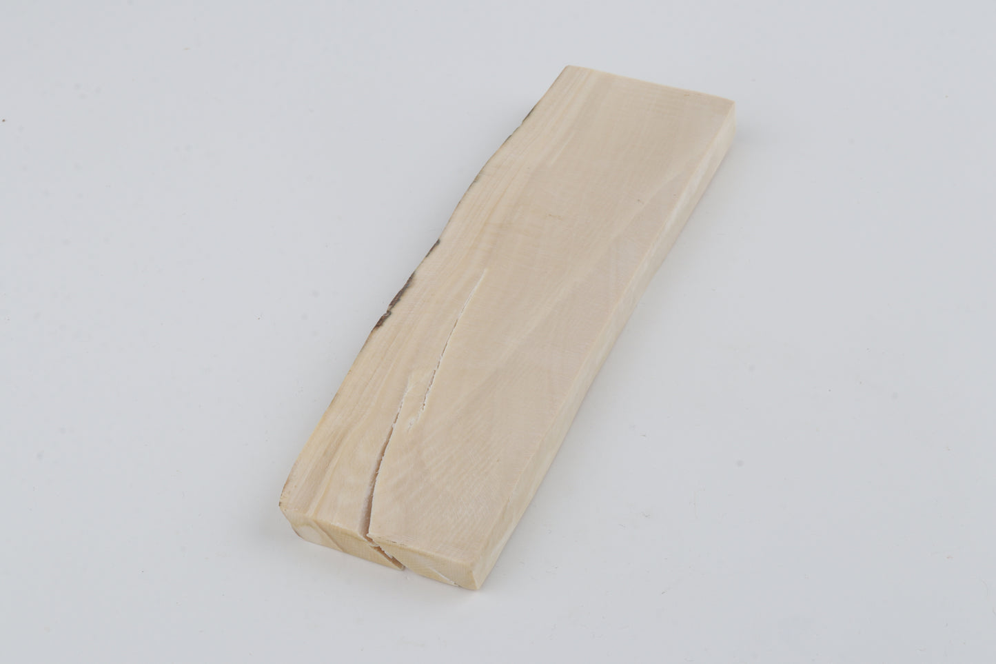 White mammoth ivory segment