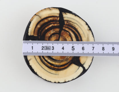 Stabilised mammoth ivory block