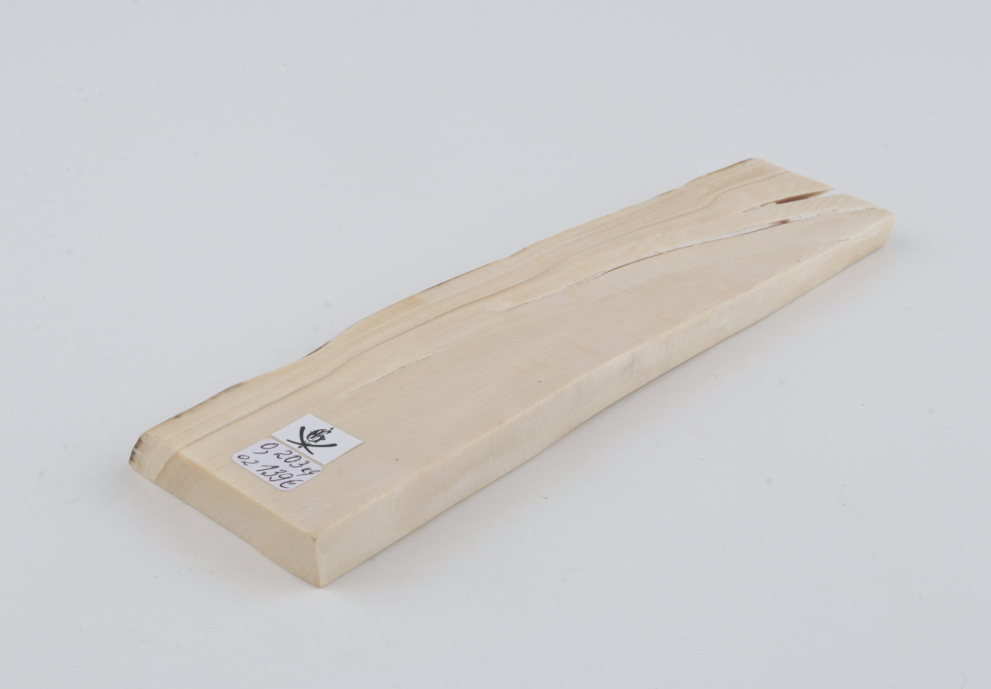 White mammoth ivory segment