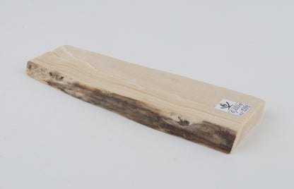 White mammoth ivory segment