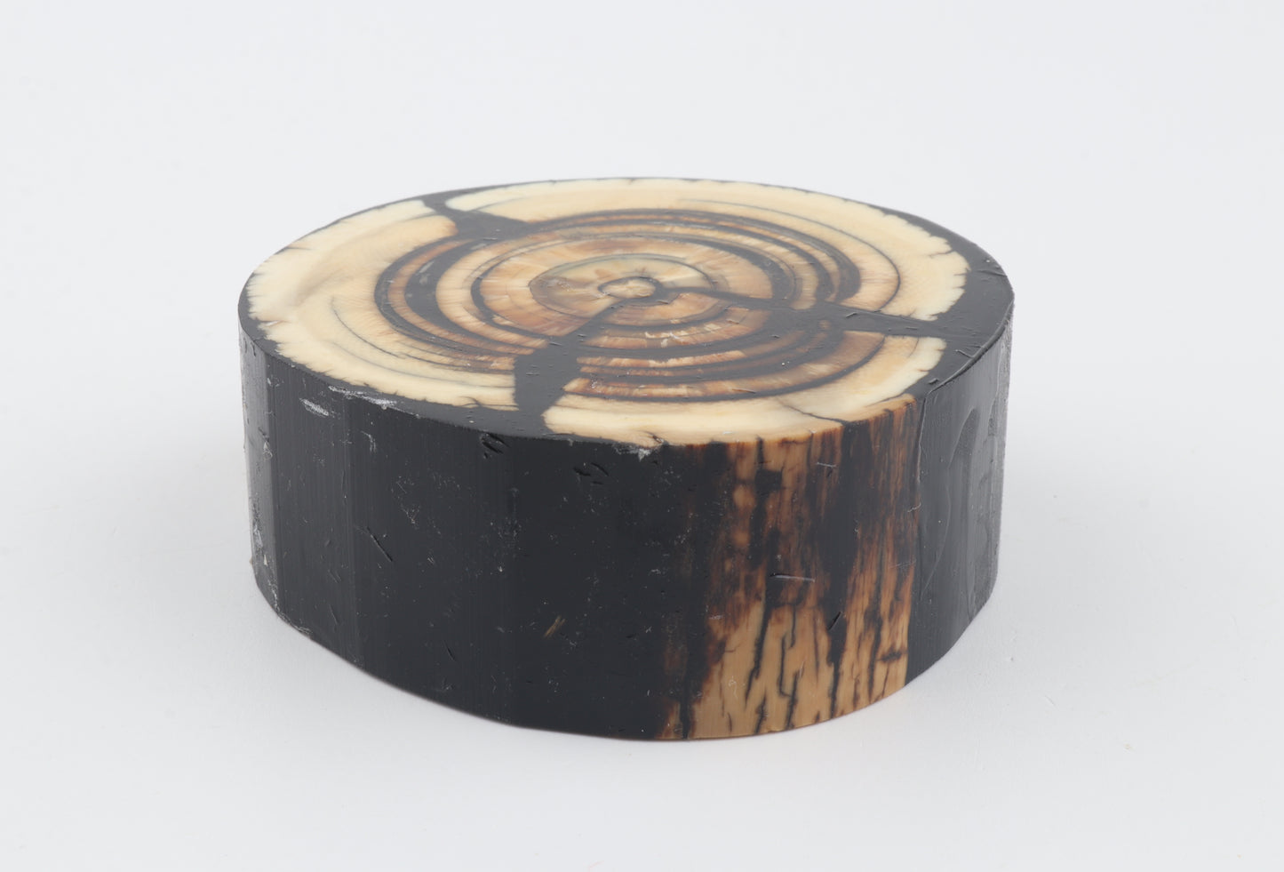 Stabilised mammoth ivory block