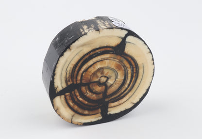 Stabilised mammoth ivory block