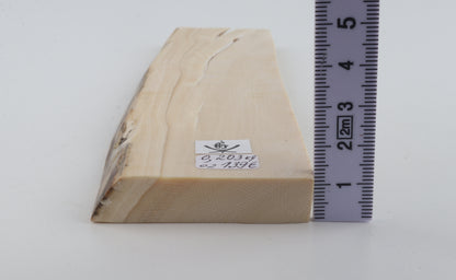 White mammoth ivory segment