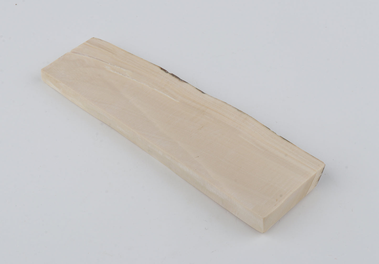 White mammoth ivory segment