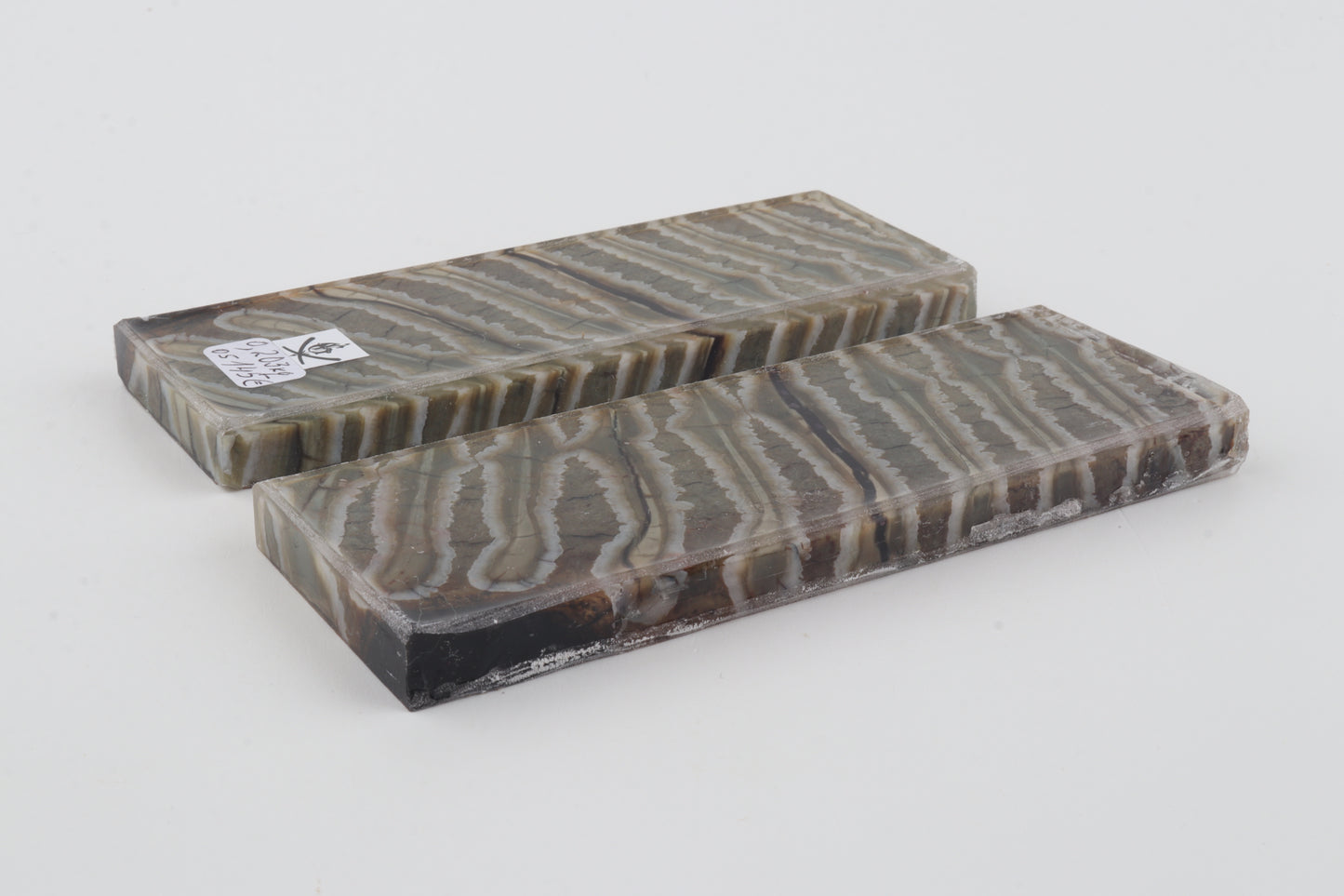 Stabilized mammoth molar scales