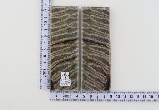 Stabilized mammoth molar scales