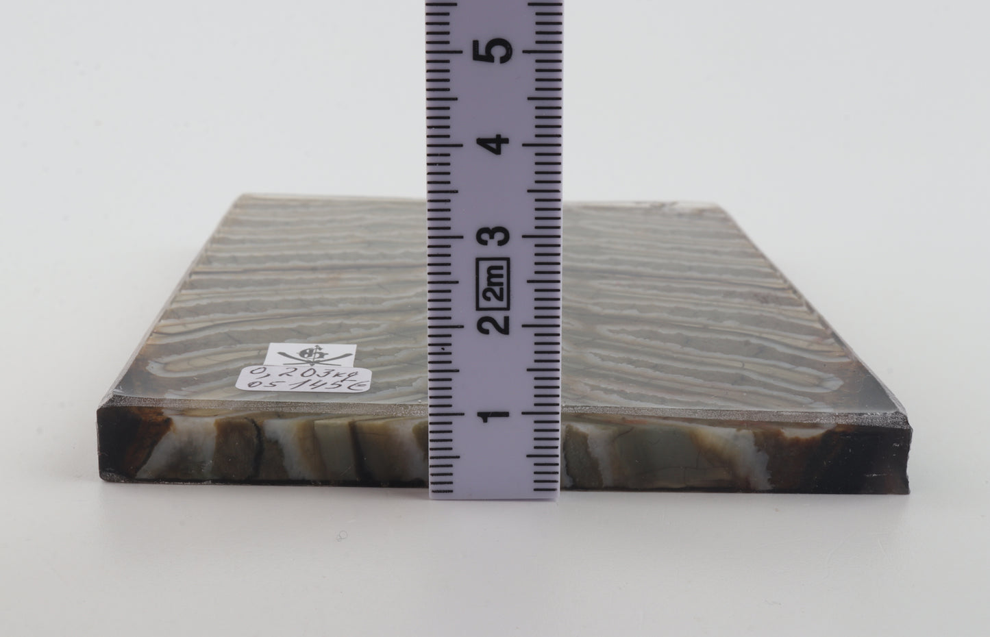 Stabilized mammoth molar scales