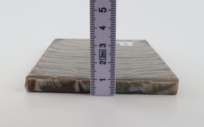 Stabilized mammoth molar scales