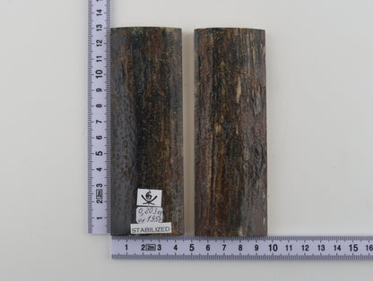 Stabilized mammoth bark scales