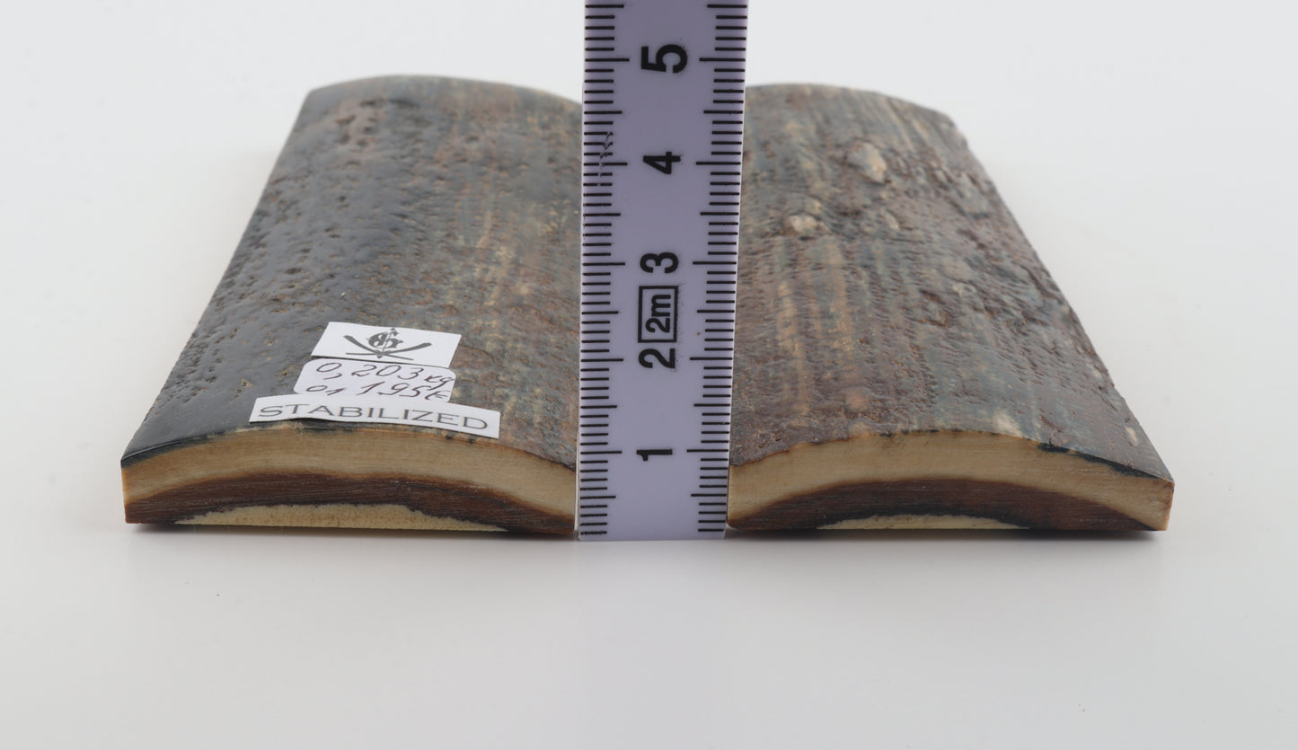Stabilized mammoth bark scales
