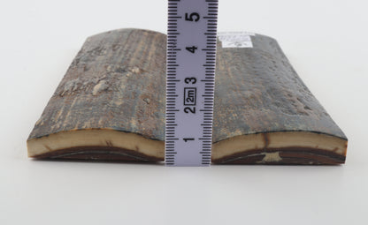 Stabilized mammoth bark scales