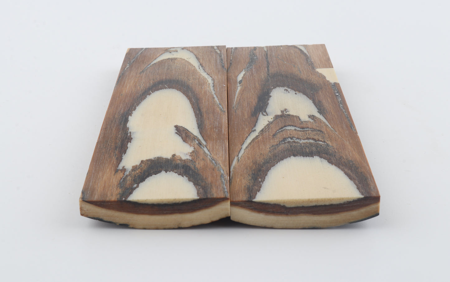 Stabilized mammoth bark scales