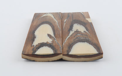 Stabilized mammoth bark scales
