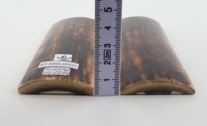 Stabilised mammoth bark scales